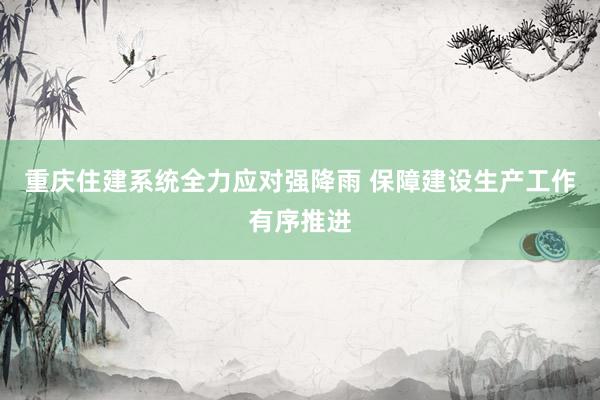 重庆住建系统全力应对强降雨 保障建设生产工作有序推进