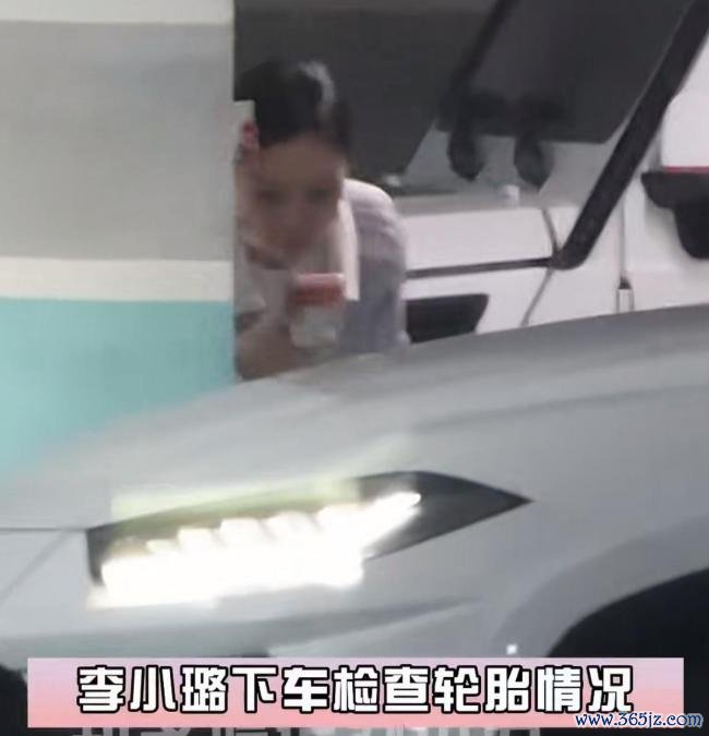 李小璐被指疑似生二胎 娱乐圈再添新成员?